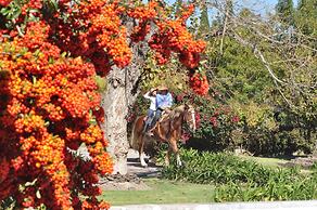 Hotel Hacienda Cantalagua Golf