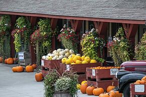 Holiday Inn Express And Suites - Vernon by IHG