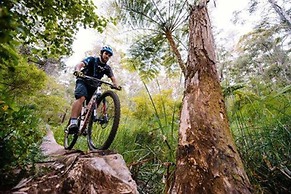 Margarets Beach Resort