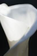 Centrella Hotel, A Kirkwood Collection Hotel