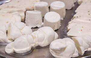 Best Western Hotel Plaza