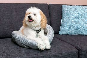 Hilton Garden Inn Orlando International Drive North