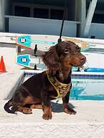 Inn on Destin Harbor, Ascend Hotel Collection