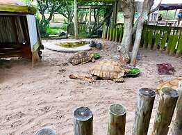 Inn on Destin Harbor, Ascend Hotel Collection