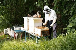 Maitai Polynesia Bora Bora