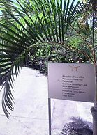 Maitai Polynesia Bora Bora