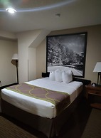 Super 8 by Wyndham Ripley