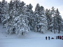 Parnassos Delphi Hotel