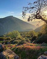 Parnassos Delphi Hotel