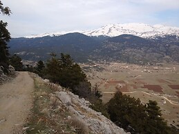 Parnassos Delphi Hotel