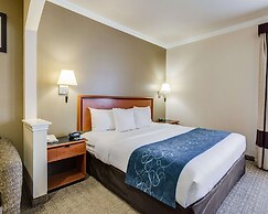 Comfort Suites Deer Park Pasadena