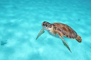 Van der Valk Plaza Beach & Dive Resort Bonaire - All Inclusive