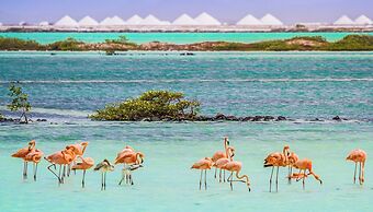 Van der Valk Plaza Beach & Dive Resort Bonaire - All Inclusive