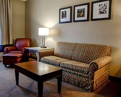 Comfort Suites Gadsden Attalla