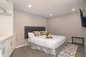 The Sands of La Jolla