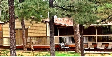 Village Lodge Condos