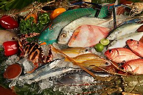 Bali Tropic Resort & Spa