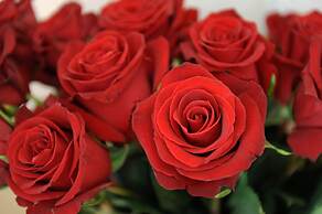 Hotel Derby Interlaken - Action & Relax Hub