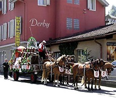 Hotel Derby Interlaken - Action & Relax Hub