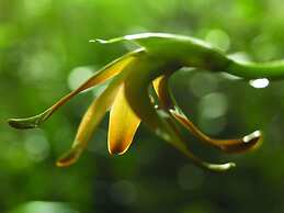 Sanctuary Lodge, A Belmond Hotel, Machu Picchu