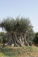 Hotel Capela das Artes