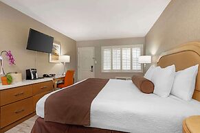 Best Western Downtown San Diego