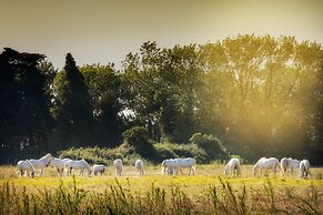 SOWELL HÔTELS L'Olivier