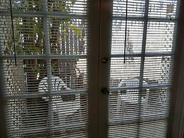 Alexander Palms Court