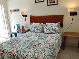 Alexander Palms Court