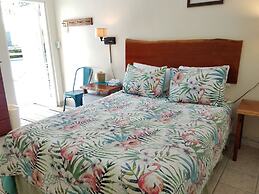 Alexander Palms Court