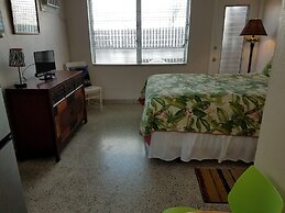 Alexander Palms Court