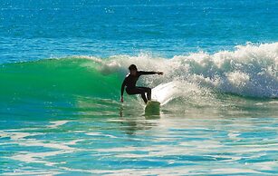 The Navigator - Olympus