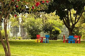 The Navigator - Olympus