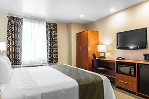 Quality Inn San Jose Airport/Silicon Valley