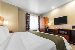 Quality Inn San Jose Airport/Silicon Valley