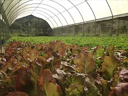 Parador Villas Sotomayor