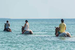 Sea Cliff Resort & Spa