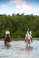 Sea Cliff Resort & Spa