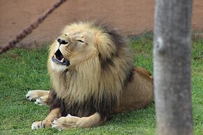 Emerald Resort & Casino