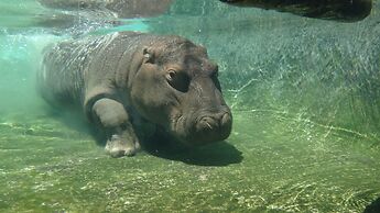 Emerald Resort & Casino