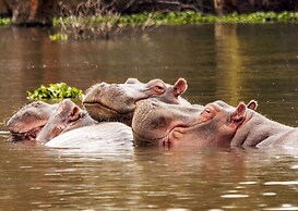 Nibela Lake Lodge by Dream Resorts