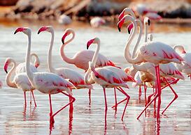 Nibela Lake Lodge by Dream Resorts