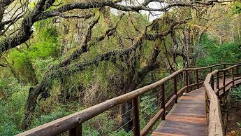 Nibela Lake Lodge by Dream Resorts