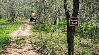 Nibela Lake Lodge by Dream Resorts