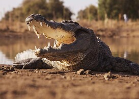 Nibela Lake Lodge by Dream Resorts