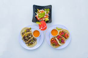 Smart Cancun The Urban Oasis