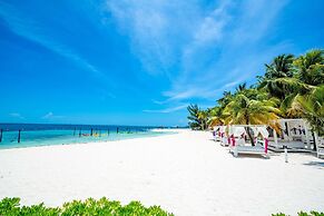 Smart Cancun The Urban Oasis