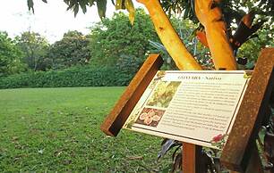 Iguazu Grand Resort Spa & Casino