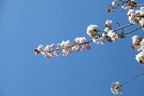 The Devereux Boutique Hotel