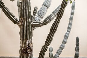 Casa Delfino Hotel & Spa